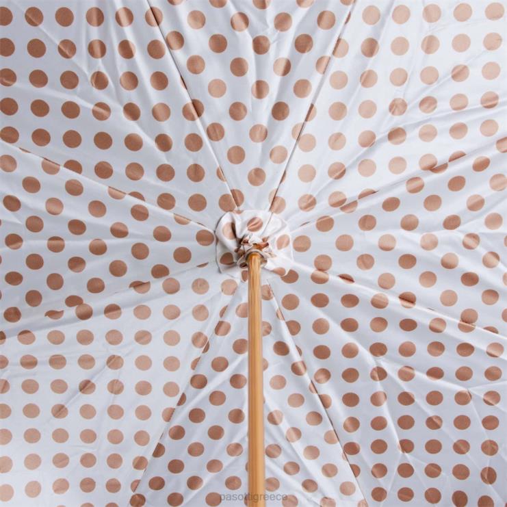 ομπρέλα | PASOTTI 189 55874-13 k89 - ομπρέλα san bernardo 2N6B8558 γυναίκες